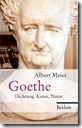 Meier_Goethe